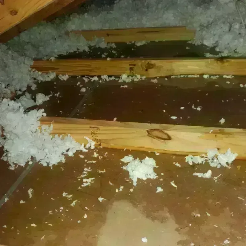 Attic Water Damage in Smiths Station, AL